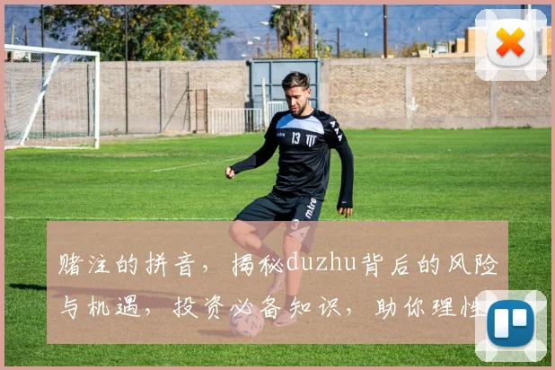 赌注的拼音，揭秘duzhu背后的风险与机遇，投资必备知识，助你理性博弈