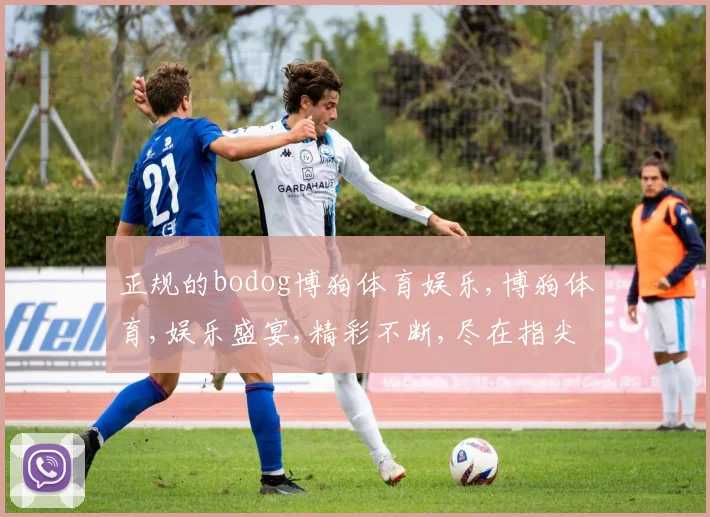 正规的bodog博狗体育娱乐,博狗体育,娱乐盛宴,精彩不断,尽在指尖